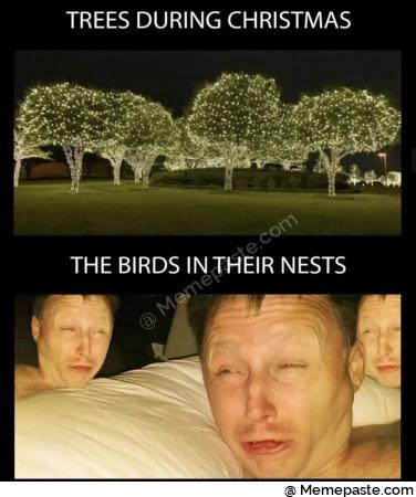 Meme