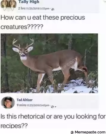 Meme