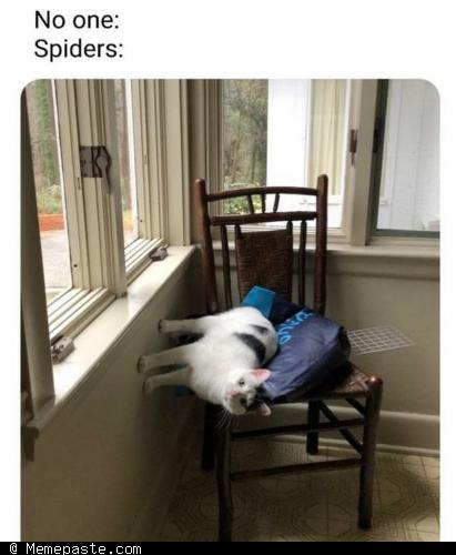 Meme