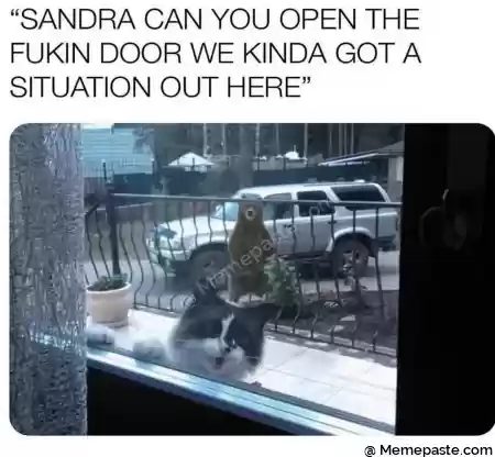 SANDRA CAN YOU OPEN THE r DOOR WE GOT A r OUT HERE r n r n Z I r n EA I r n r L quot I u L r n r n il quot r quot r n r nu y r n K quot quot r x r n r r n r n 