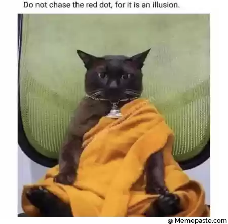 Meme