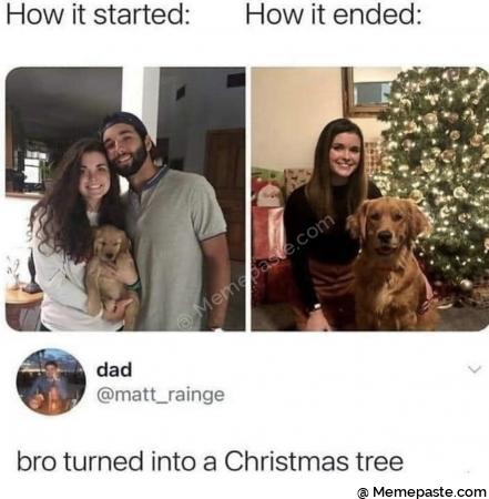 Meme