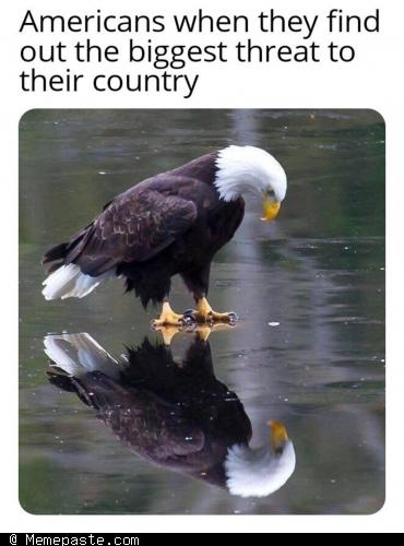 Meme
