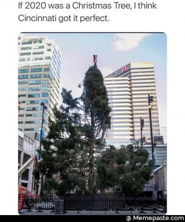 If was Tree think got it perfect Twig if nE it or 