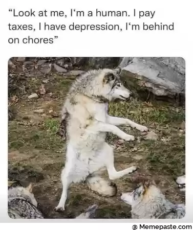 Look at me I m a human I pay r I have depression I m behind r non chores r quot H r nh quot I quot gt l r n f quot r n r nv r g r n ir r f sect r n h r n f C I r n r n v g f r n r n r n ax quot quot V r n c x v J lt r n r n 