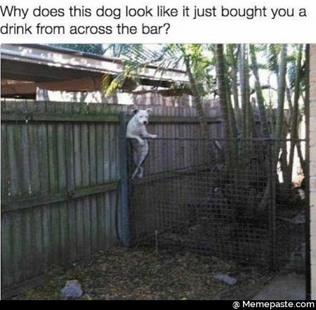 Meme
