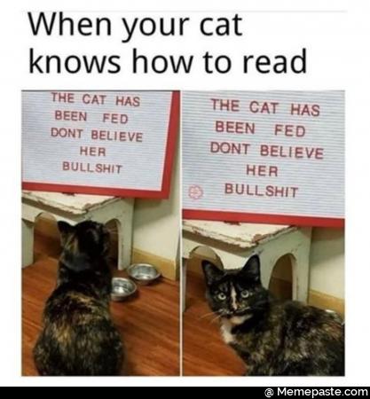 When your cat knows how to read the cat has been fed do not believe her bullshit
