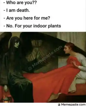 Who are you r n- I am death r n- Are you here for me r n- No For your indoor plants r n j r r n r n 