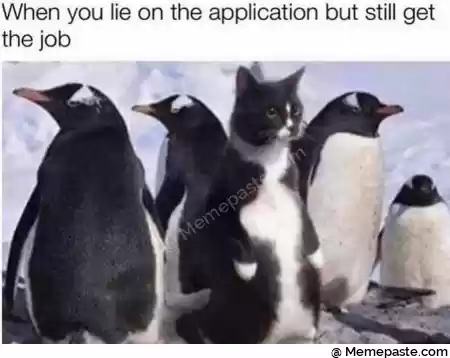 Meme