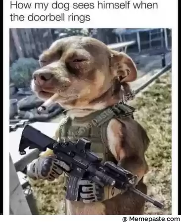 How my dog sees himself when r doorbell rings r n n i r ns I r n a r r nw b r n j K J r ny T i r a g r nQ V r na r n I M R r nl r n It r n V k r n f r r x quot r n- r n l J quot r ng a l quot L I r nm r n r n 