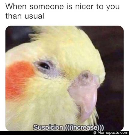 Meme