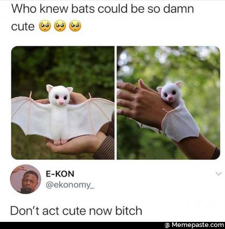 Meme