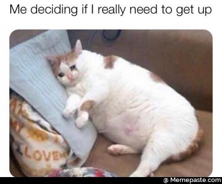 Meme