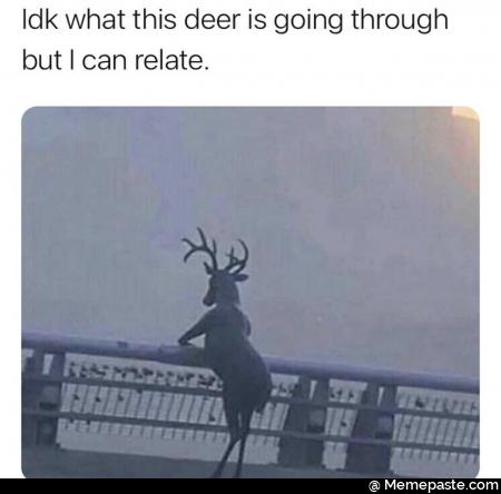 Meme
