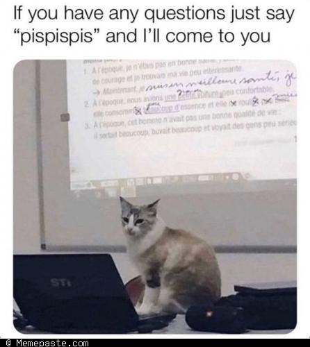 Meme