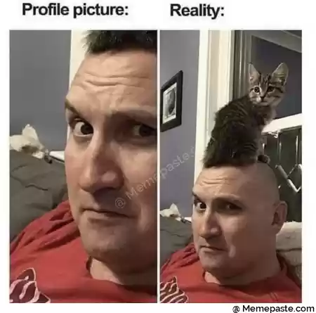 Pro le picture Reality r n I r n r nL r n y quot w r n V r nV L r n V r n a quot gt r r n r n 