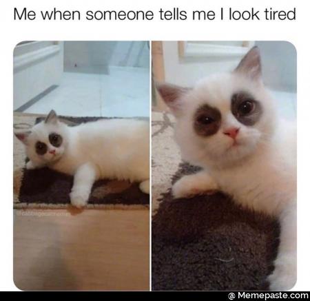Meme