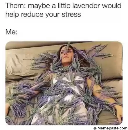 Meme