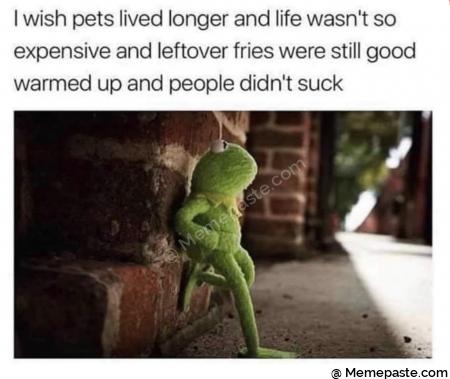 wish pets lived longer and life so and leftover fries were still good up and people suck 