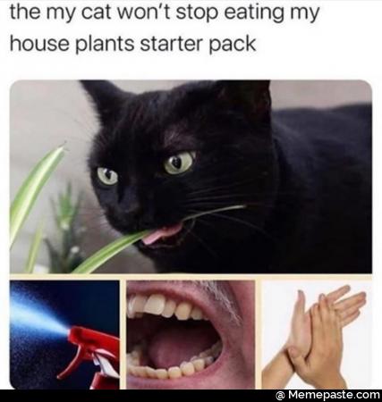 the my cat won stop eating my plants starter pack 