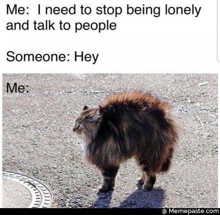 Meme