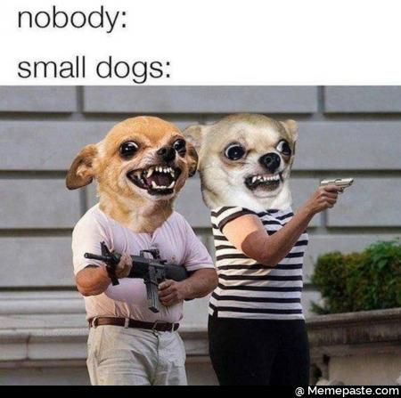Meme