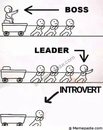 BOSS r n s s s r n A AIA r w r n INTROVERT r n r n 