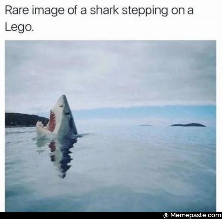 Meme