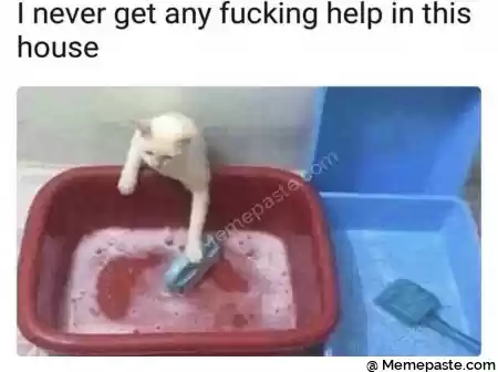 I never get any fucking help in this r r n v d r n if V a quot r n I f r r n r n 