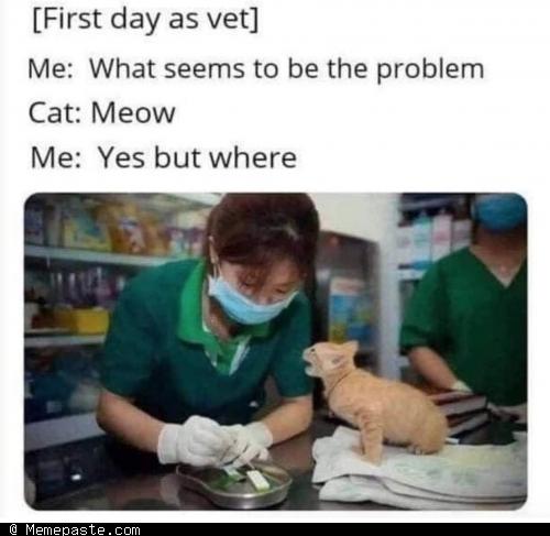 Meme
