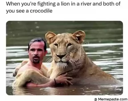 Meme