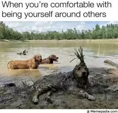 Meme
