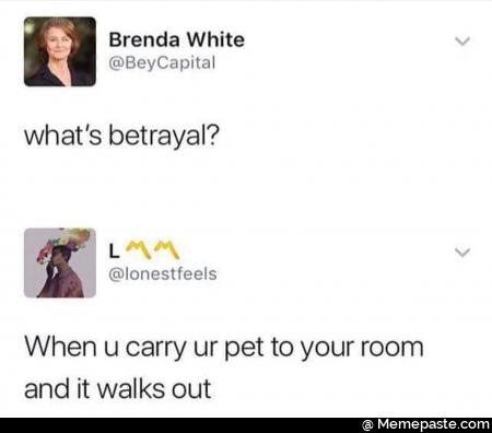 What is betrayal? When you carry your dog to your room and it walks out