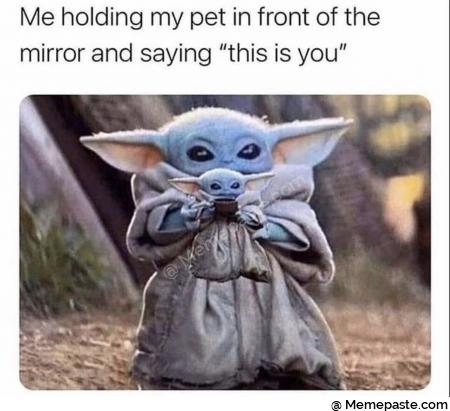 Meme
