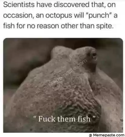 Meme