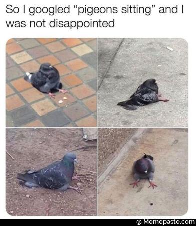 Meme