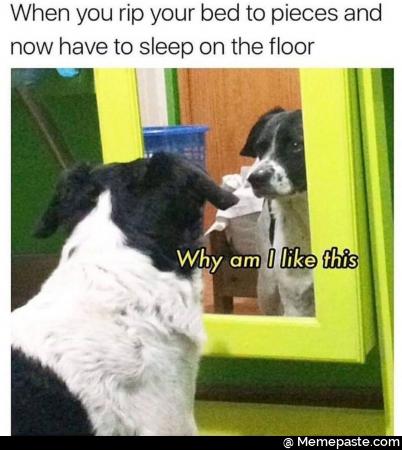 When you rip your bed to pieces and have to sleep on the floor yen Why am like this 