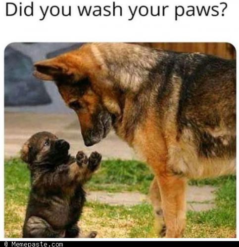 Meme