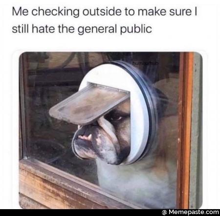 Meme