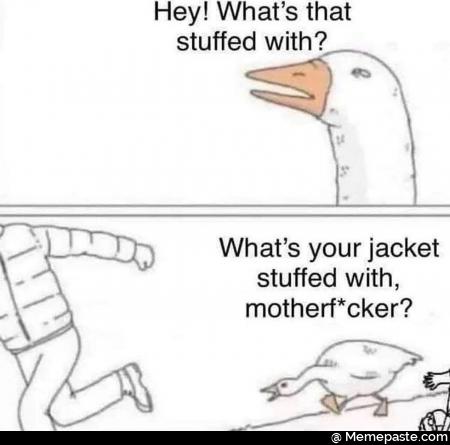 Meme