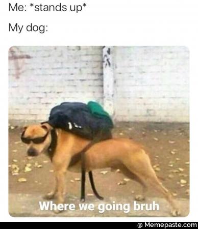 Meme