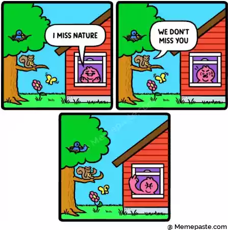 Meme