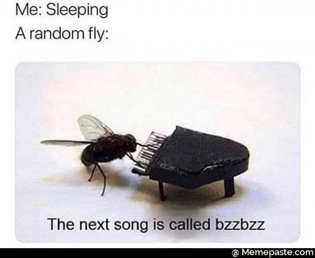 Sleeping a random fly
