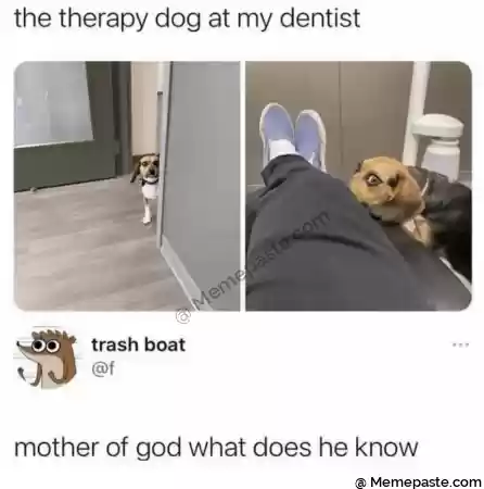 Meme