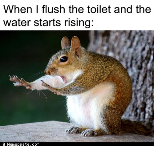 Meme