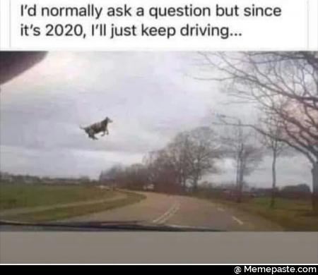 Meme