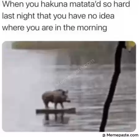 When you d so hard r night that you have no idea r you are in the morning r n r n 