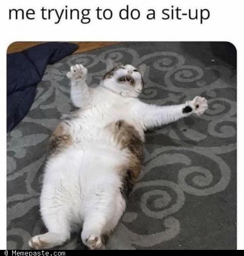 Meme