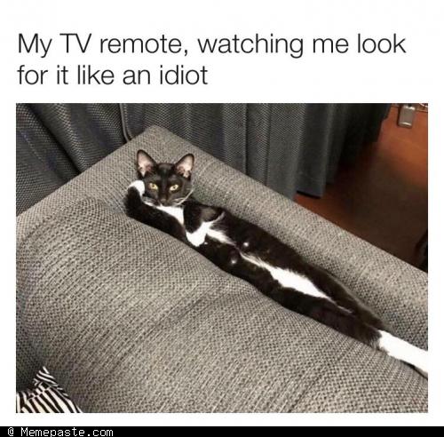Meme