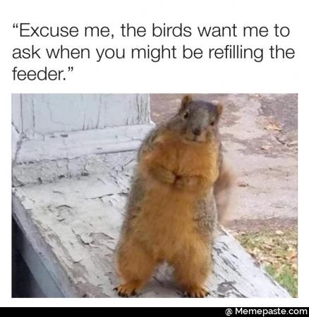 Excuse me the birds want me to ask when you might be refilling the feeder